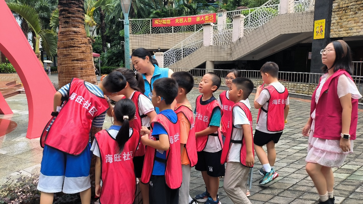 新安海旺社区青少年为社区治理建言献策