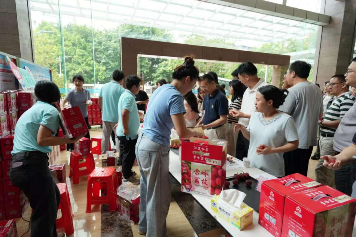 多方合力卖“荔”助农！推动汕头雷岭荔枝实现品牌销量双丰收