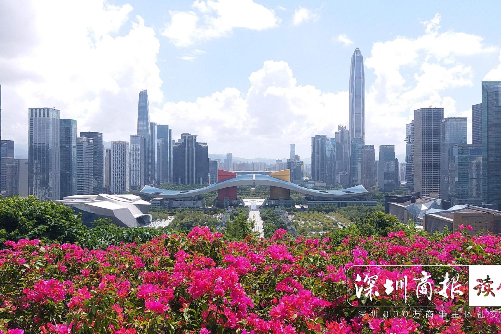 深圳民企速看！深圳市促进民营经济发展综合服务平台重磅“上新”  助企一键高效找市场