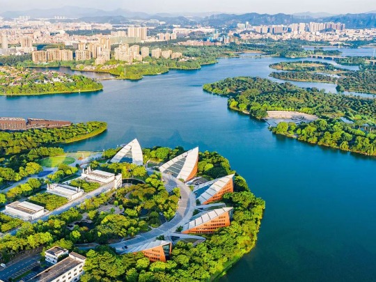 为生态增绿，为广东添美！东莞市生态环境局松山湖分局有妙招