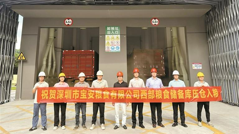 宝安粮食公司西部粮食储备库成功压仓入粮