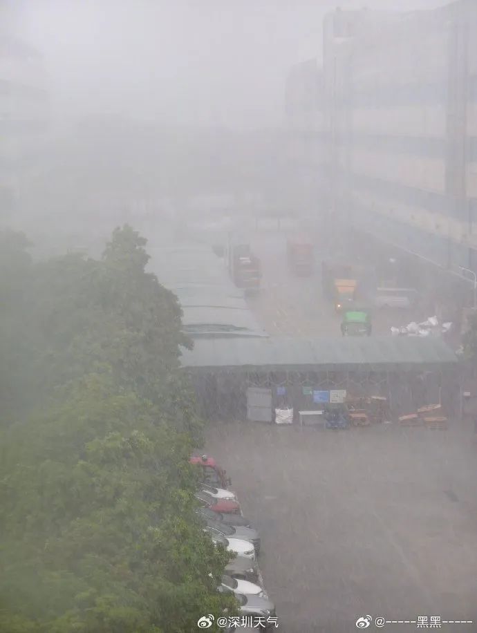最强14级！台风“韦帕”或在深圳及附近登陆，多景区闭园