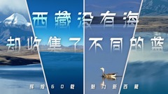 辉煌60载 魅力新西藏｜西藏没有海，却收集了不同的蓝