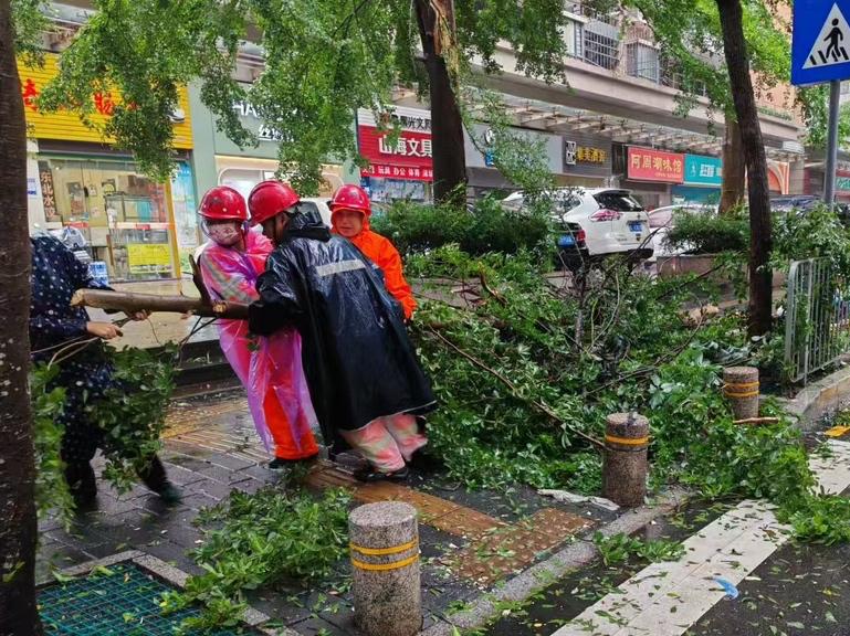 清理倒伏树木、疏通雨水篦子……深圳城管全力保障城市安全运行