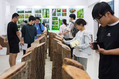 在自然中学习成长（8）