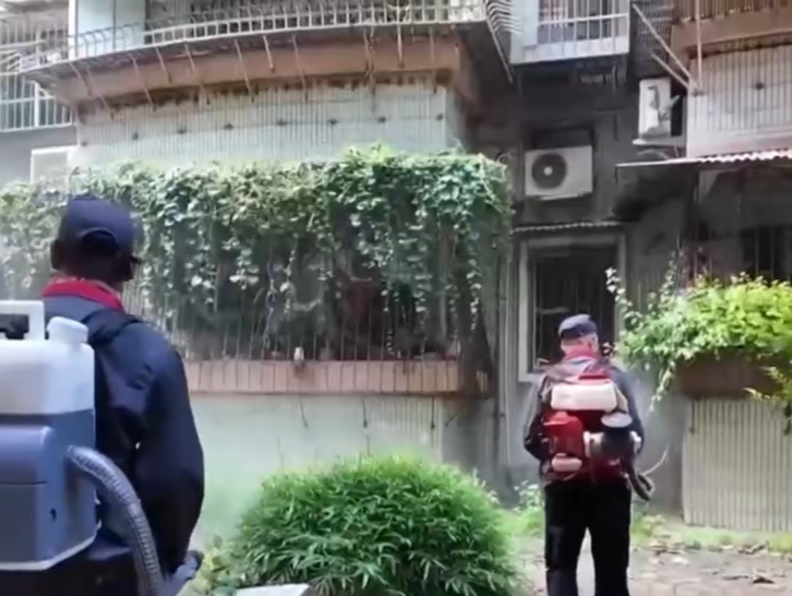 防治基孔肯雅热广东集中灭蚊 专家：恢复后要注意关节防护