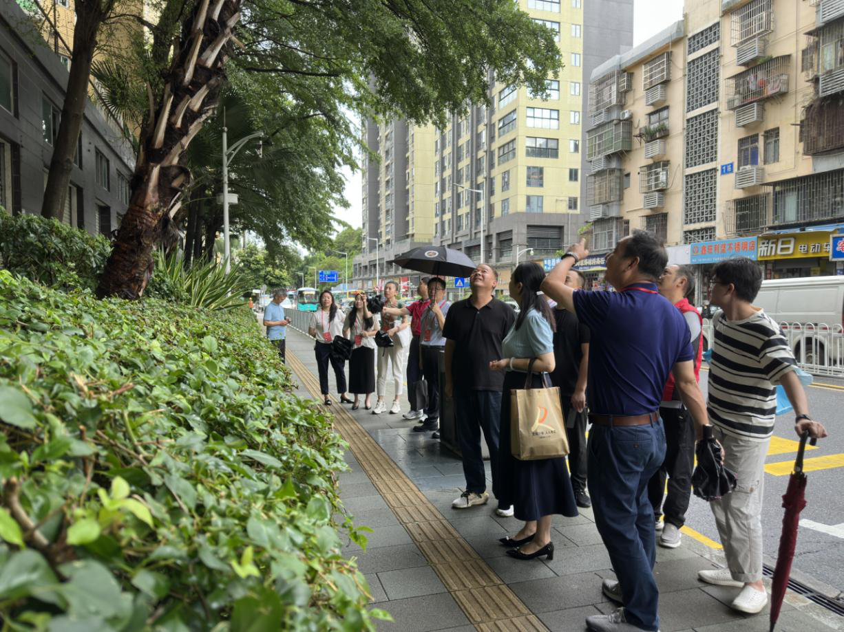 东晓街道人大工委开展城区绿化管养专项视察