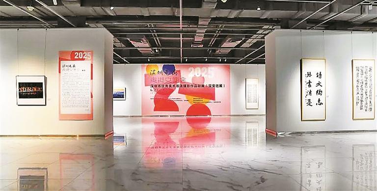 宝安1990美术馆展出90件深圳本土书法、摄影精品