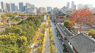 街力棒｜在宝安新桥，看半城山水半城产的新质跃升！新桥街道召开人大代表会议