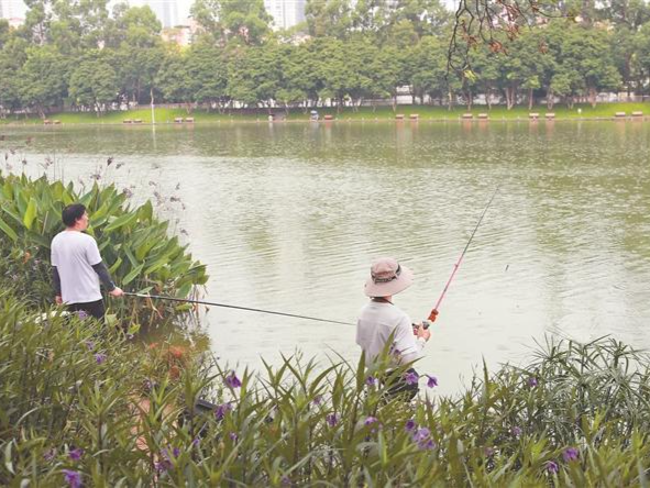 深圳公园部分区域可以钓鱼了！