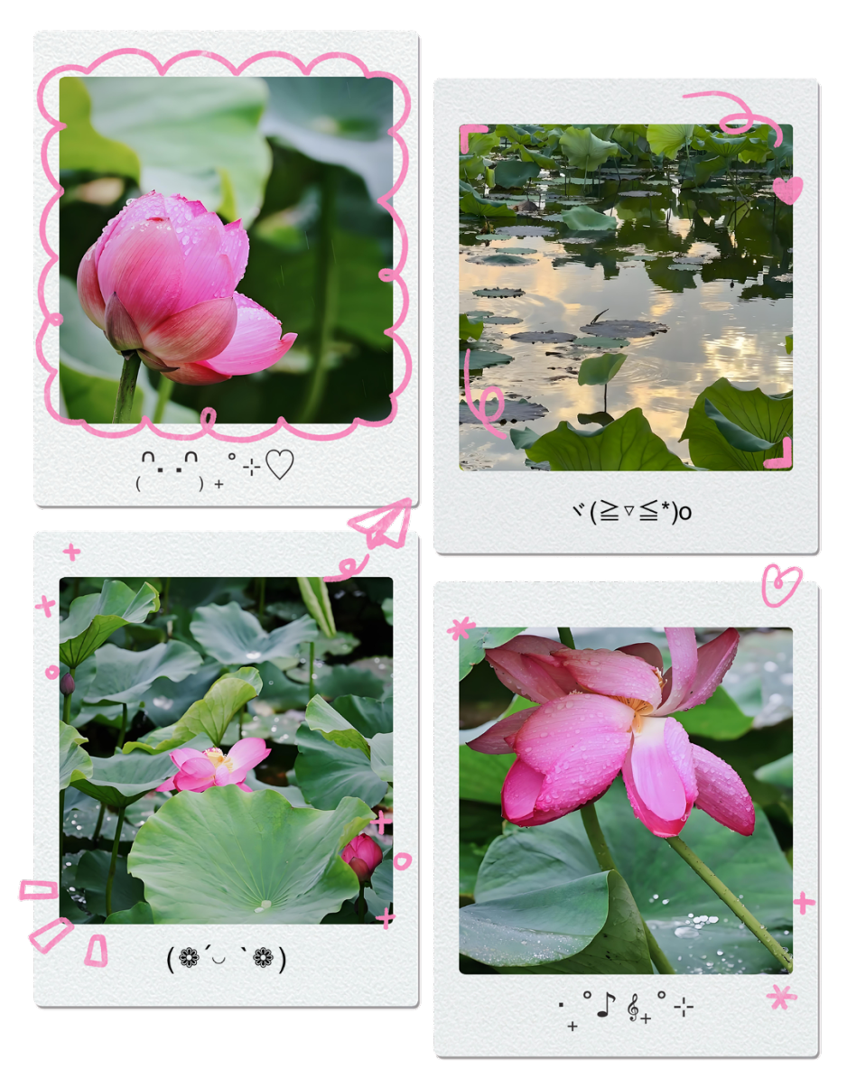 微信图片_2025-07-14_135806_027.png