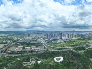 一线论见：微网格微实事微课堂 做好基层治理“大文章”丨理论周刊