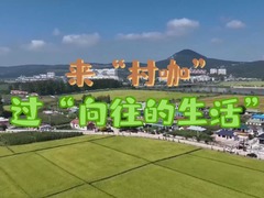 来“村咖”过“向往的生活”