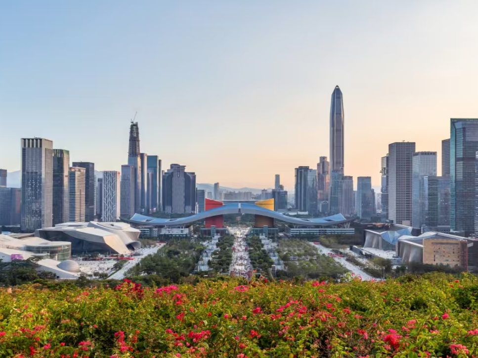 2025年中共深圳市委外事工作委员会办公室“谁执法谁普法”履职报告