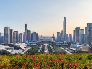2025年中共深圳市委外事工作委员会办公室“谁执法谁普法”履职报告