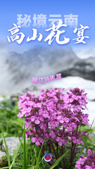 （图表 海报）美丽中国丨秘境云南，高山花宴（2）