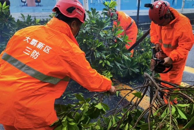 大鹏新区组织多支社会应急力量防御台风“韦帕”