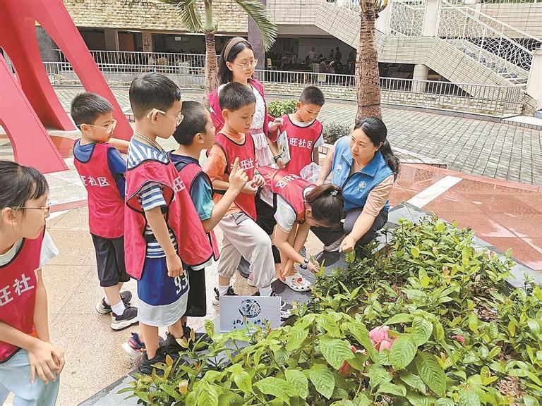 我的家园我观察 | 新安海旺青少年为社区治理建言