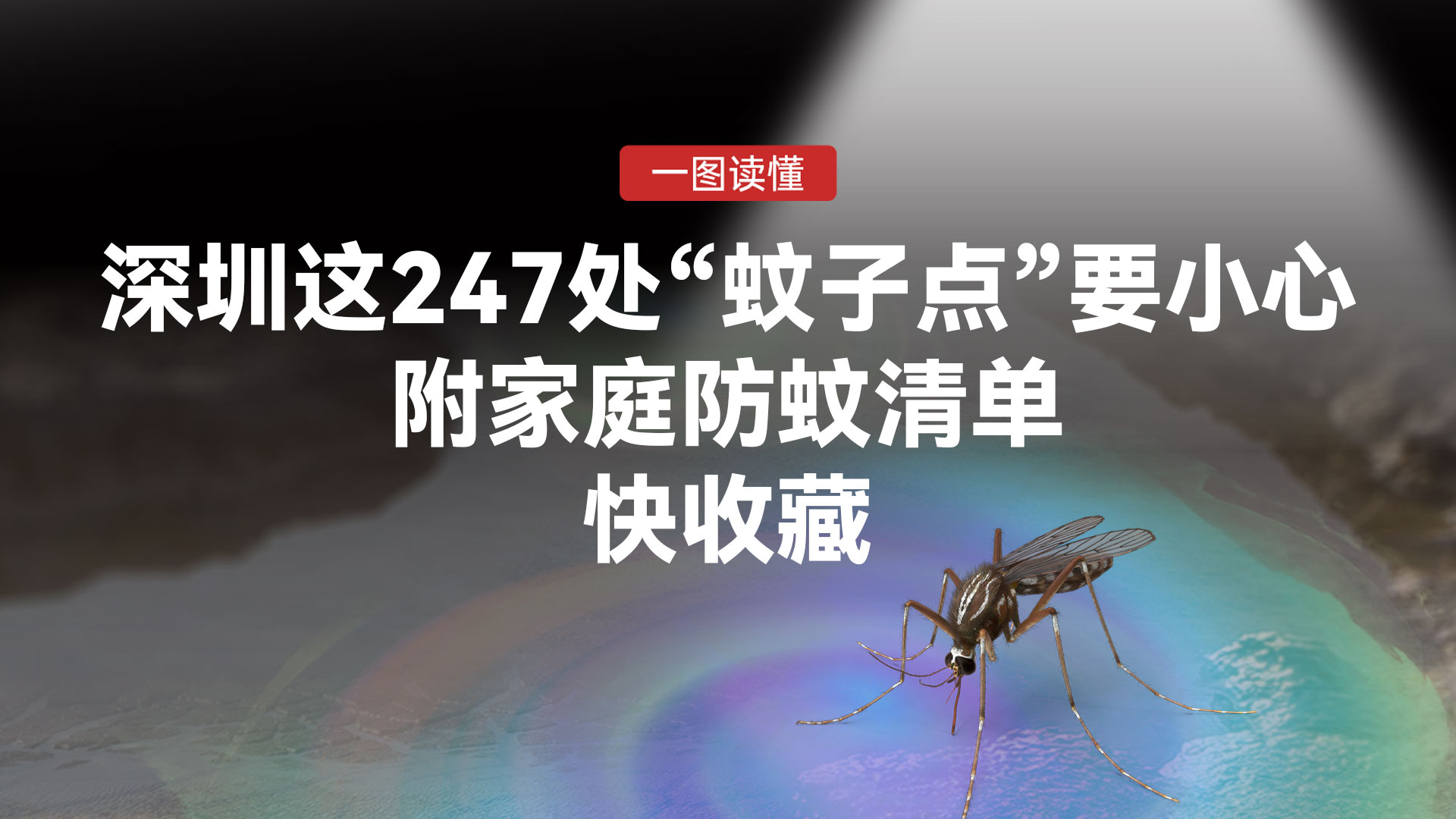 长图｜深圳这247处“蚊子点”要小心，附家庭防蚊清单，快收藏