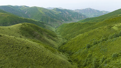 六盘山“山水工程” 打造生态绿色屏障（8）