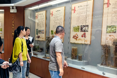 粤港澳旅游业界齐聚中山，共探工业旅游新机遇