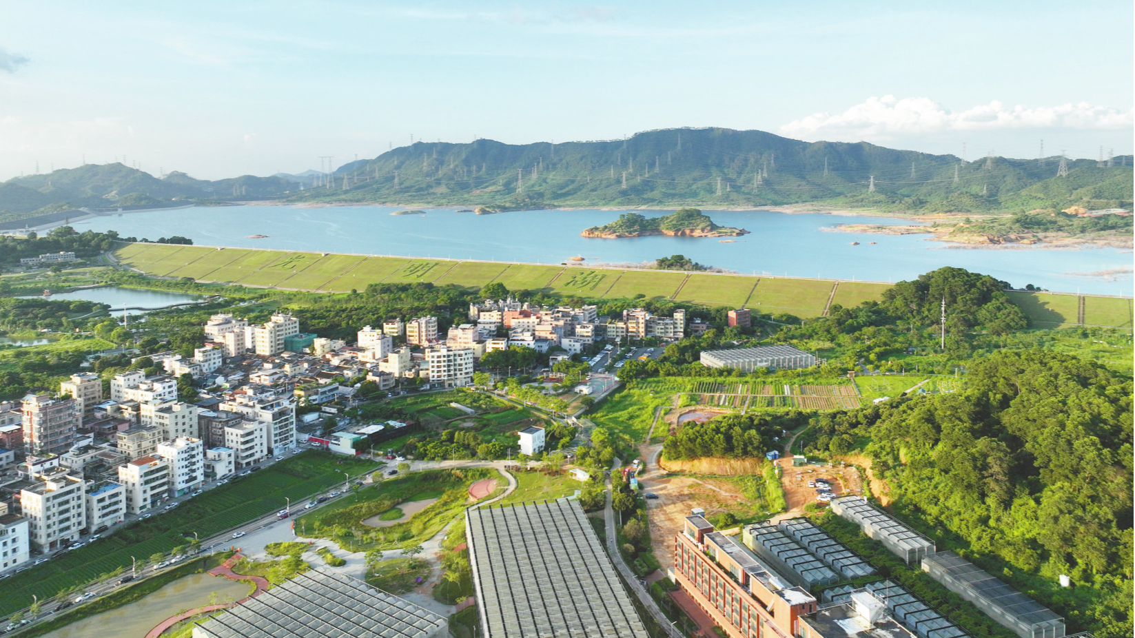 优质企业扎根光明迳口，共绘都市田园文化新画卷