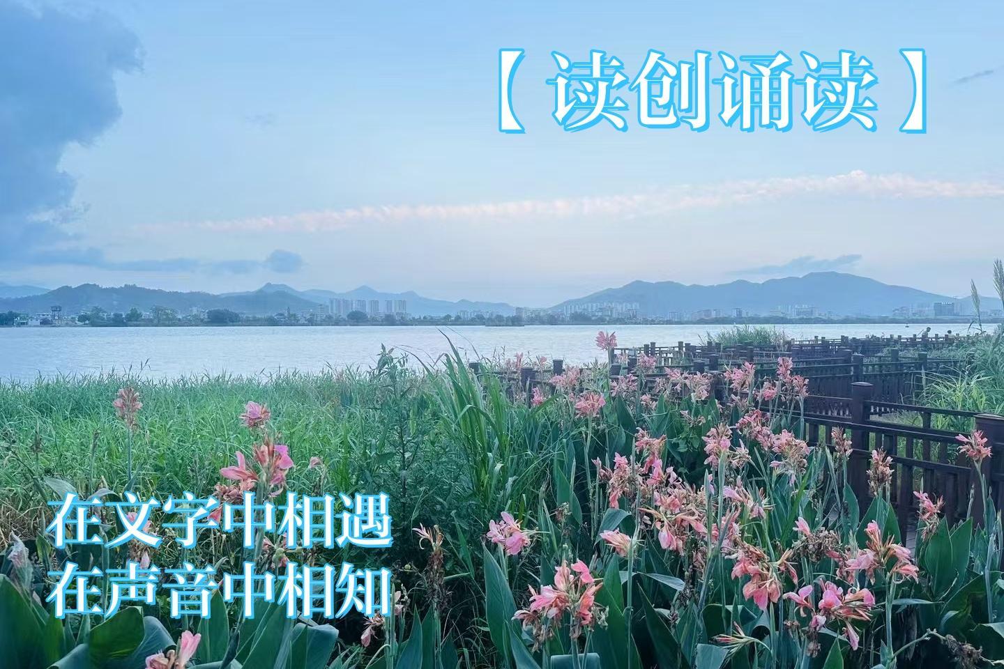 读创诵读|在深圳学习点燃了我的中年(作者:曾青艳）