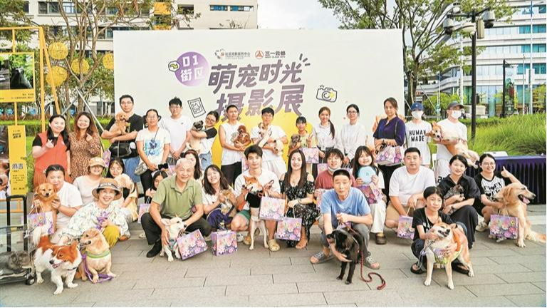 鹭湖社区联合三一云都集团打造萌宠摄影展