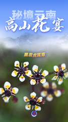 （图表 海报）美丽中国丨秘境云南，高山花宴（5）