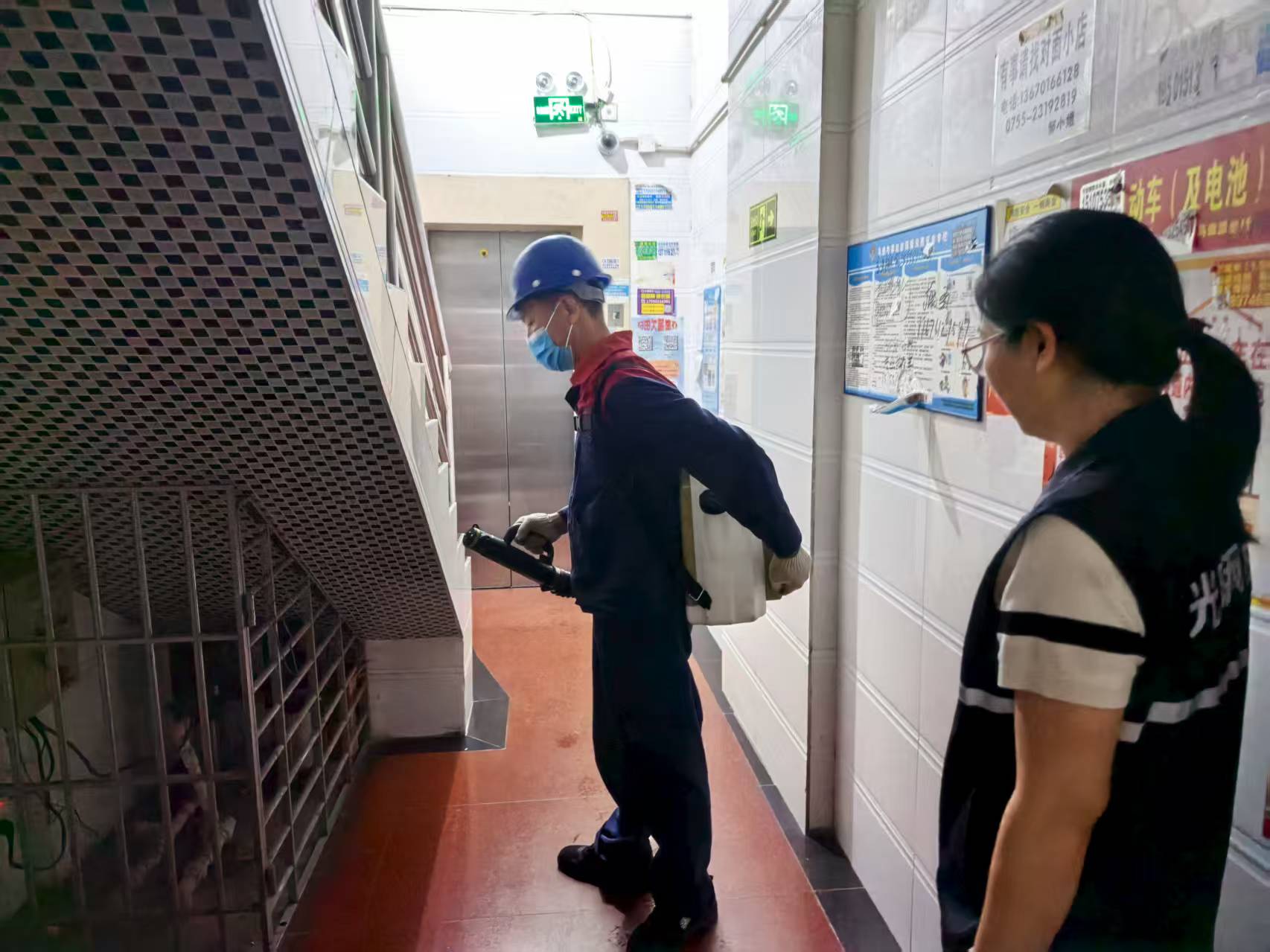 马田街道网格开展蚊媒传染病预防行动 守护辖区居民健康