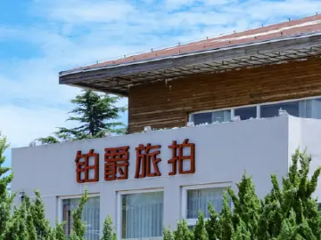 铂爵旅拍“失联”？监管部门：该公司处于停业状态