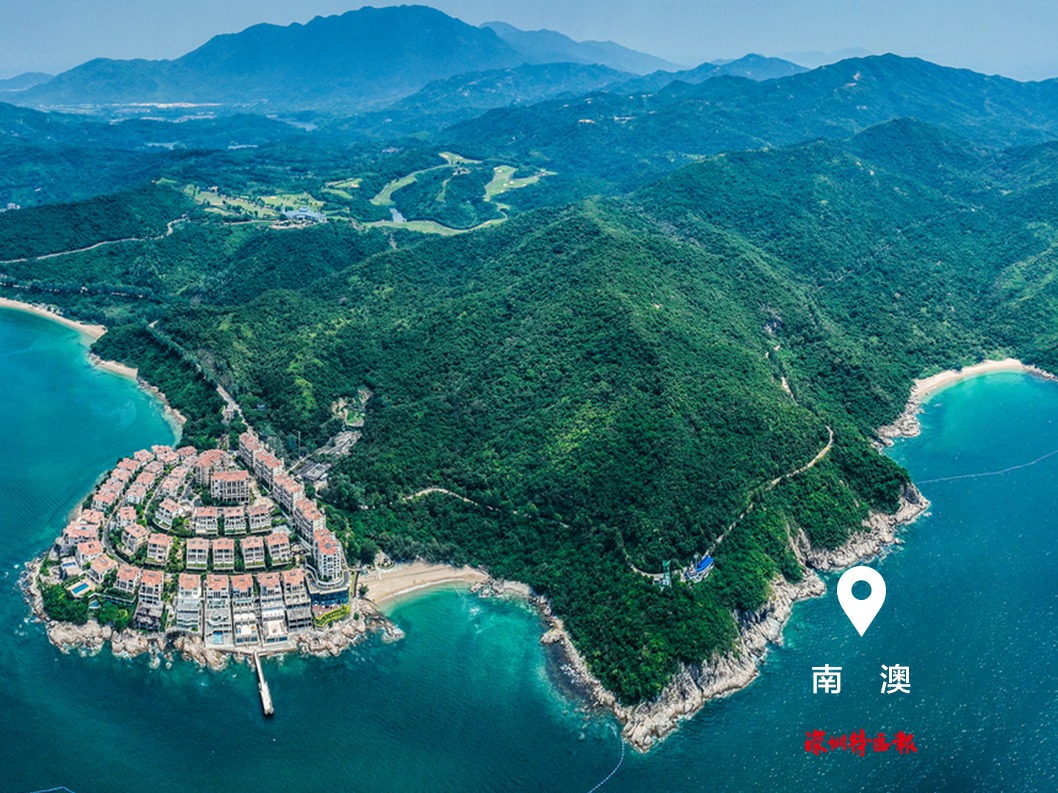 美丽深圳·每日一图｜2025年7月26日 