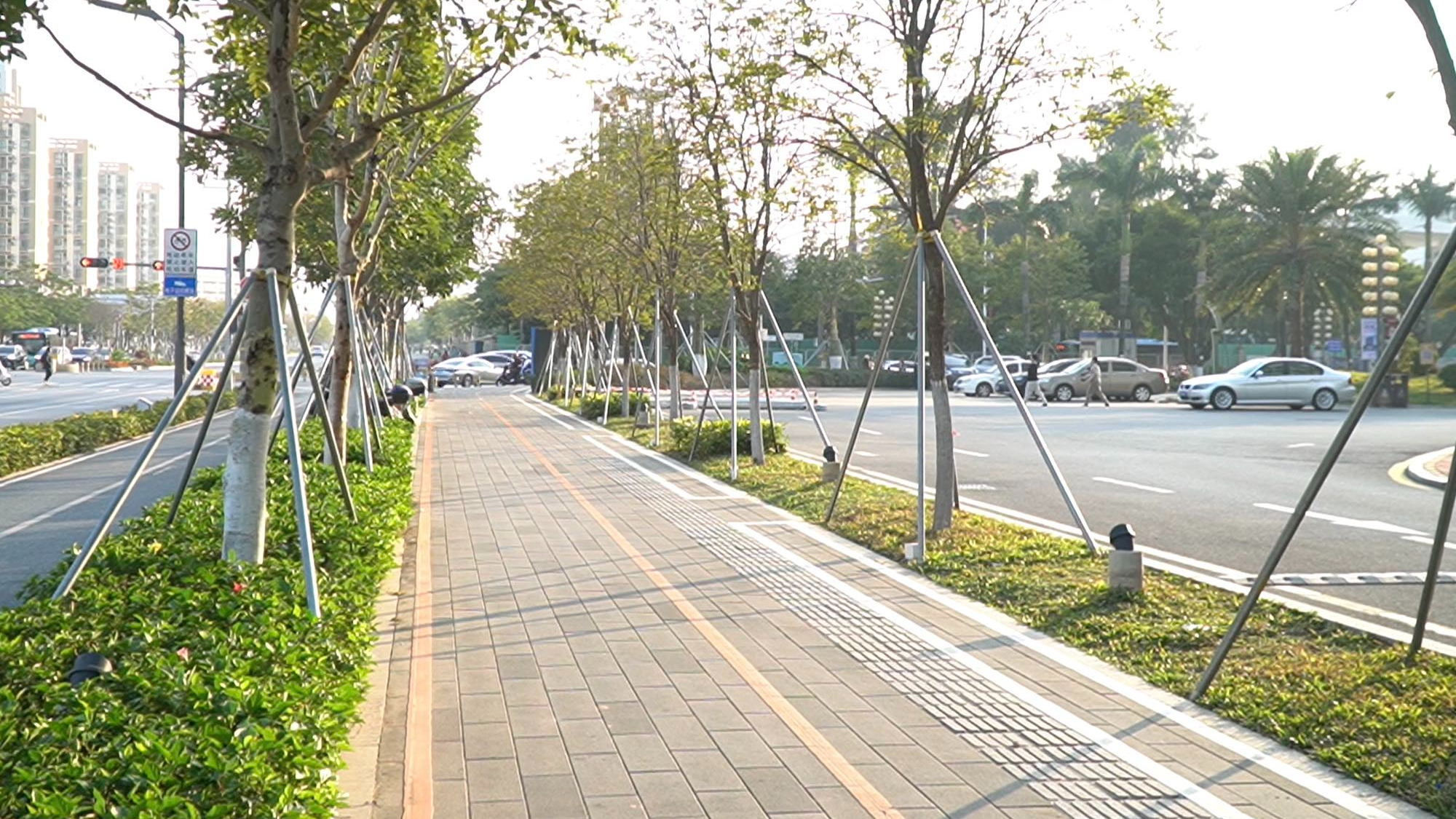 让居民幸福感“看得见摸得着”！沙井街道多维度提升市容环境