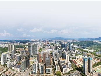 政企同心掘出无限商机  龙岗以高质量定制化服务赋能企业发展