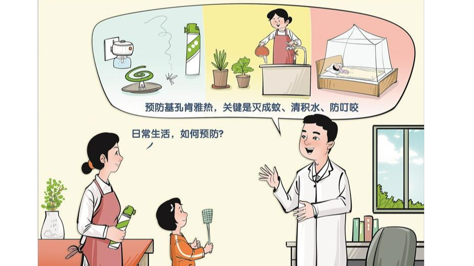 预防基孔肯雅热，做好这三点！