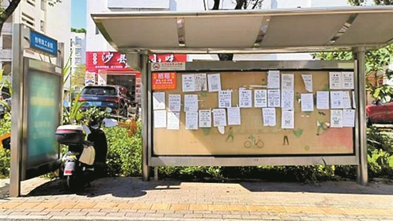 市交通运输局宝安管理局:部署三大整治工作 道路设施病害立行立改
