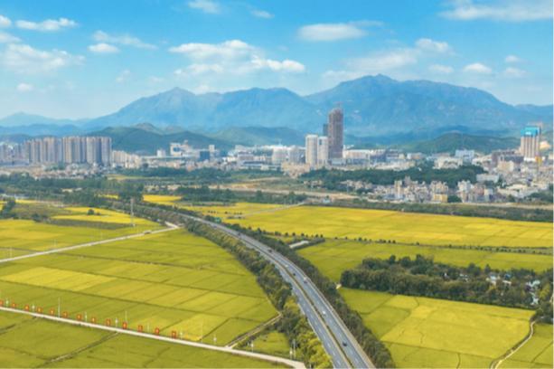 深汕发布2025年第二批引进基础教育人才公告