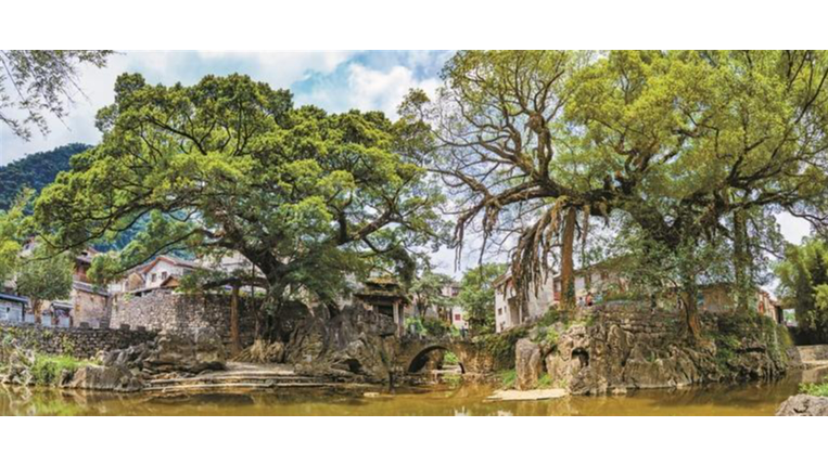走进粤港澳后花园 探访贺州康养胜地