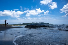 （外代一线）（9）日本千叶县：鲸鱼搁浅