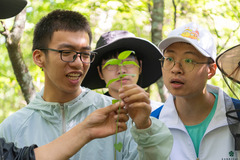 在自然中学习成长（4）