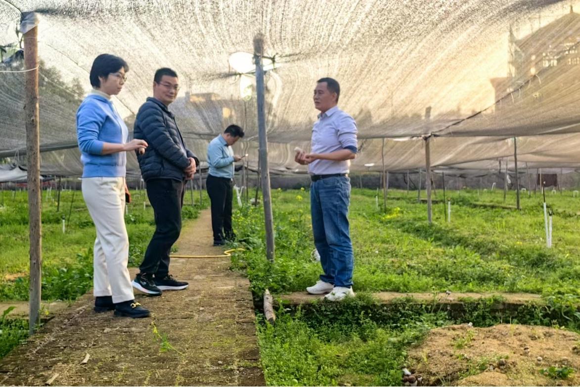 深职大科技赋能乡村振兴：智慧农业落地，校企合作启新程