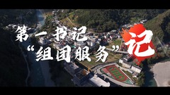 第一书记“组团服务”记