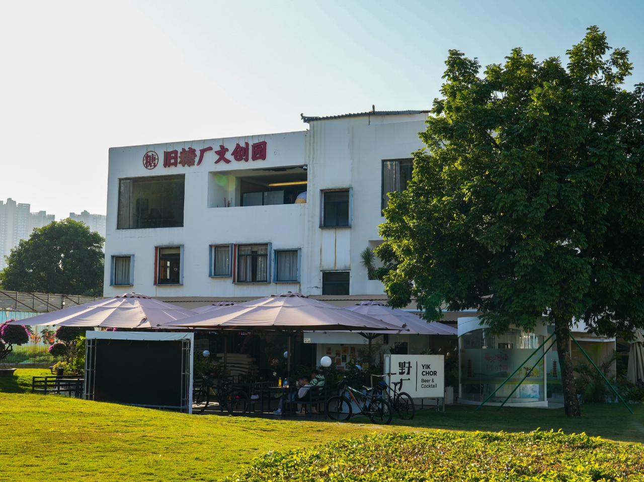 烟火气、产业柱、人文蕴，光明街道绘就高质量发展新图景