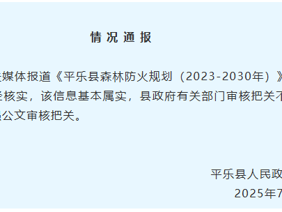 政府文件被指原文抄袭？官方通报：基本属实