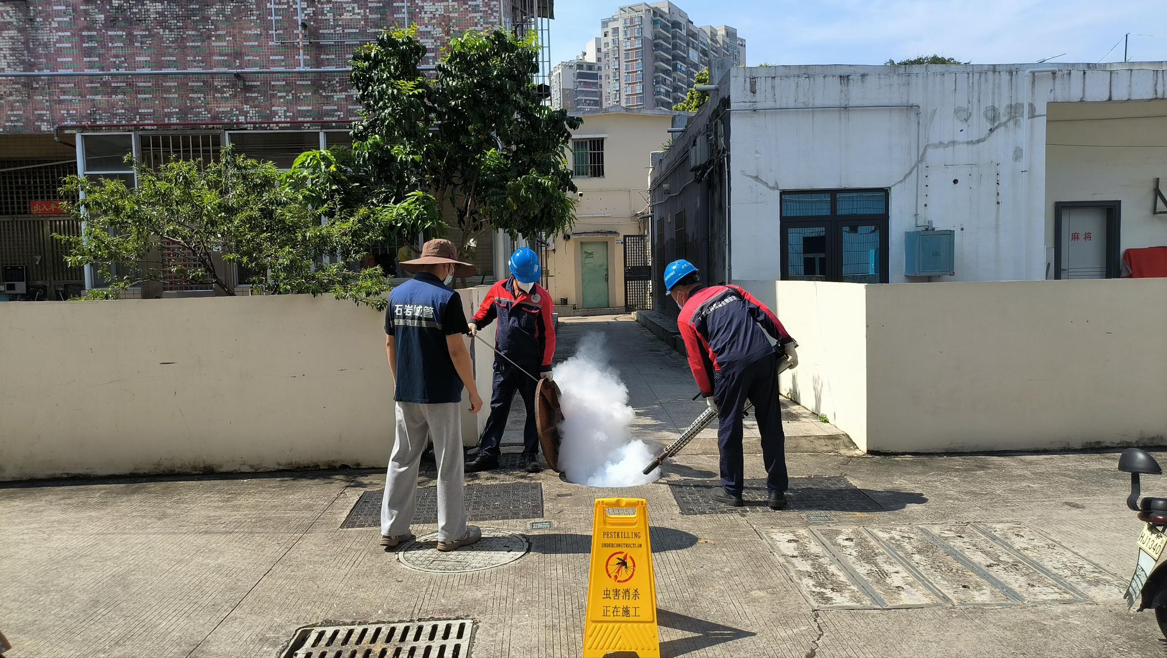 宝安全面掀起“灭蚊护健康”热潮