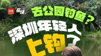 去公园钓鱼？深圳年轻人“上钩”了