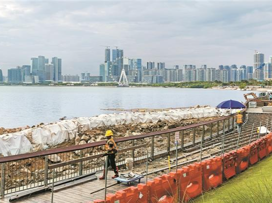 台风“韦帕”即将登陆，工程人员加固堤防