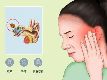 专家科普｜一翻身就天旋地转，耳石症到底是个啥？ 