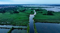 雄安新区：夏日风景正当时（1）