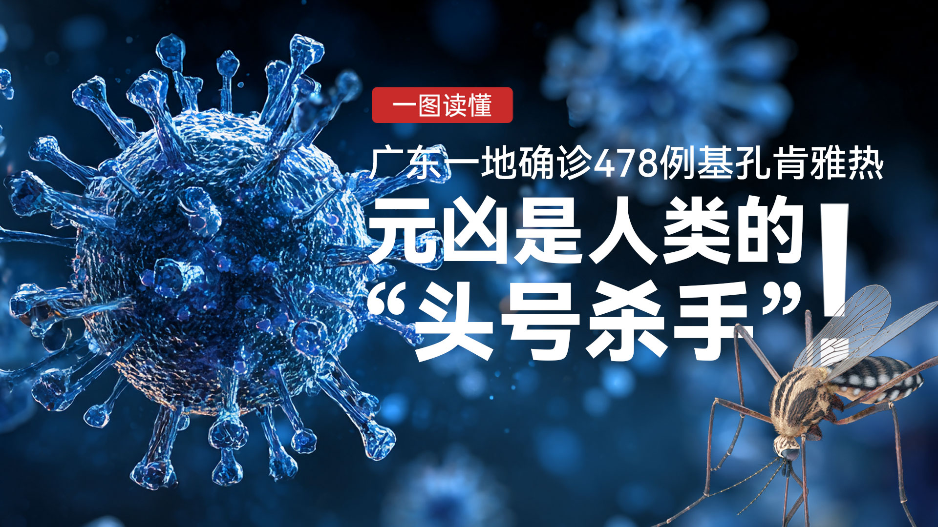 广东一地确诊478例基孔肯雅热，元凶是人类的“头号杀手”！| 一图读懂 